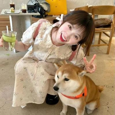 南波万的聚会
